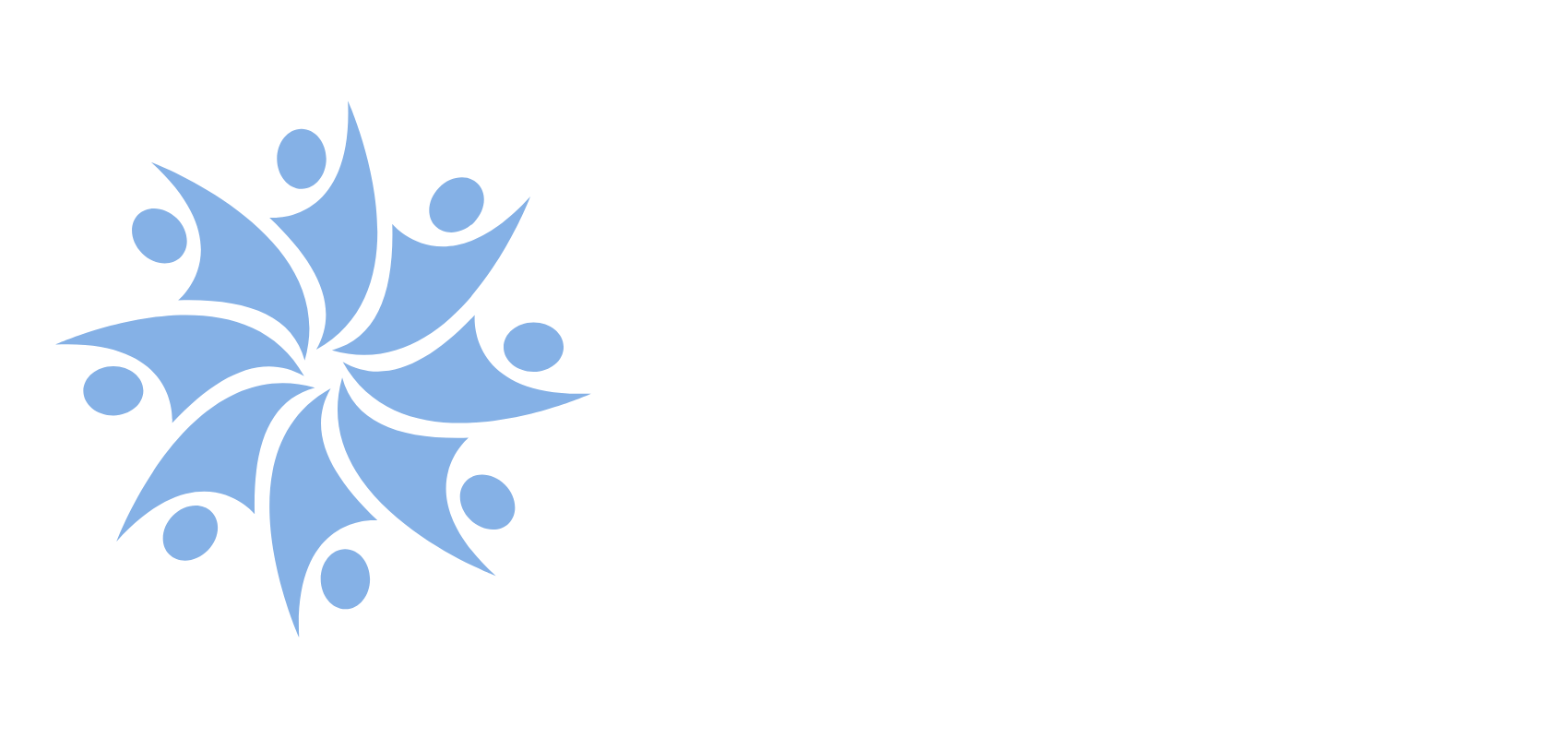 TLV300 Academy